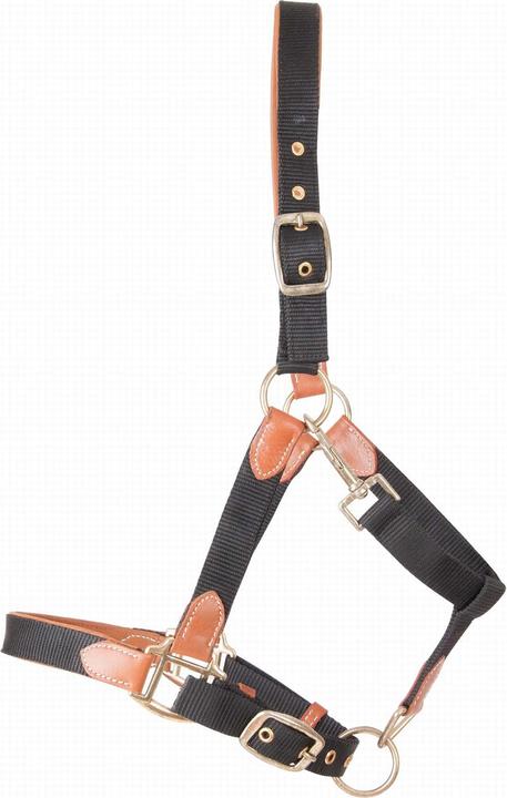 Actual product image TdeT Leather halter for horse and strap