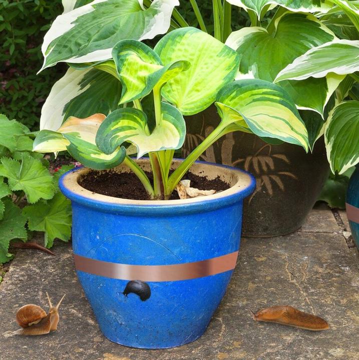 Image du produit Katcha Kupfer Abwehrband Tiervertreiber Schneckenabwehr 4 Meter