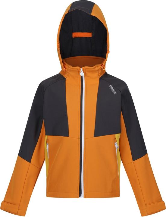 Image du produit Regatta - Veste softshell HAYDENBURY - Enfant (146, 152)