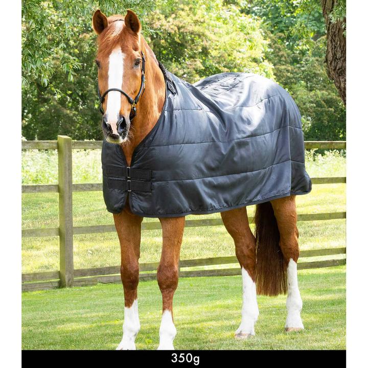 Produktbild Premier Equine 350 g (175 cm)