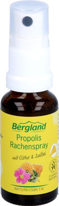 Image du produit Bergland Spray pharyngé à la propolis, solution de 20 ml (20 ml)