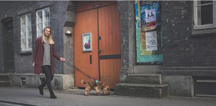 Image du produit Orbiloc Safety Light Dog Dual (Taille unique, Chien)