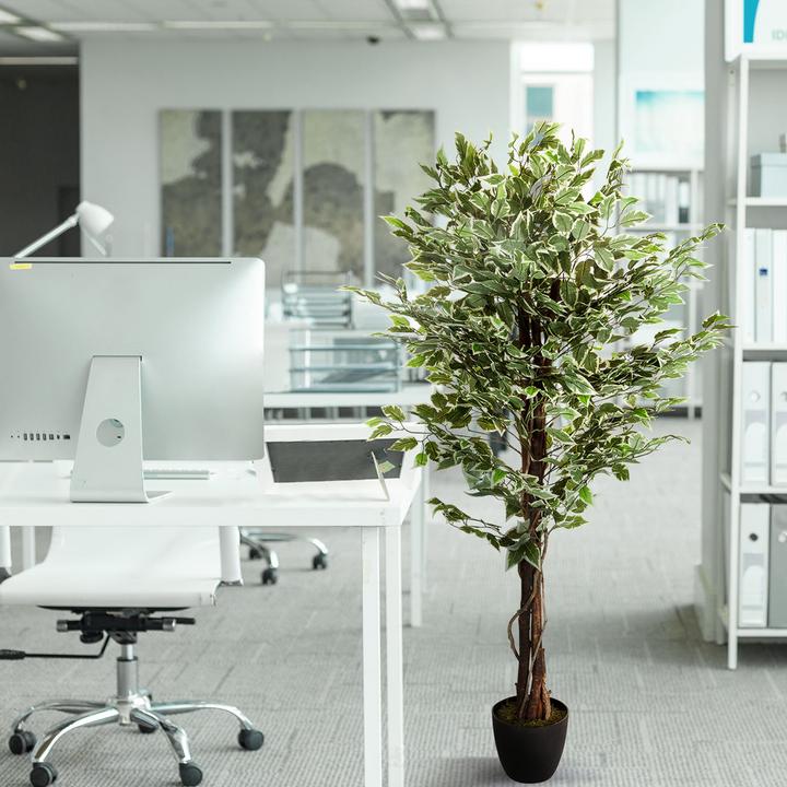 Actual product image Hjh Office Ficus (165 cm)