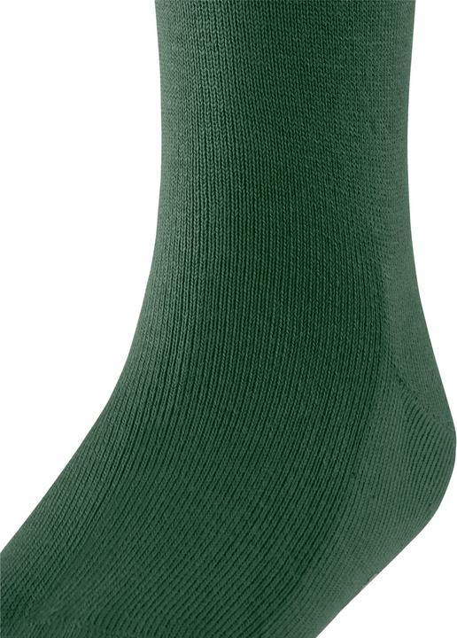 Actual product image Falke Family KH