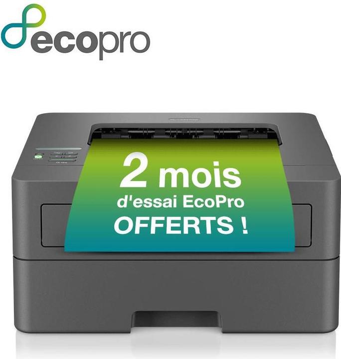 Actual product image Brother HL-L2447DW (Laser, Black and white)