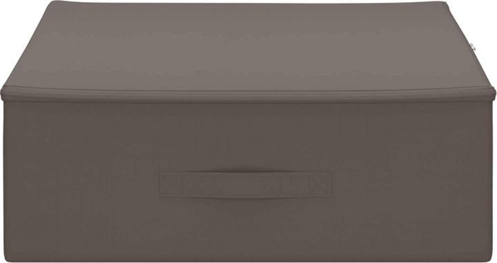 Actual product image vidaXL Aufbewahrungsbox (48 cm, 2x)