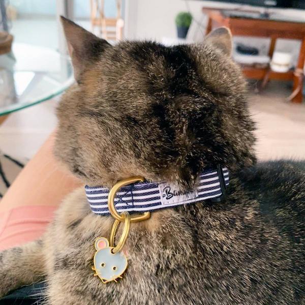 Image du produit French Bandit Collier pour chat In The Navy (Chat, Sport canin)