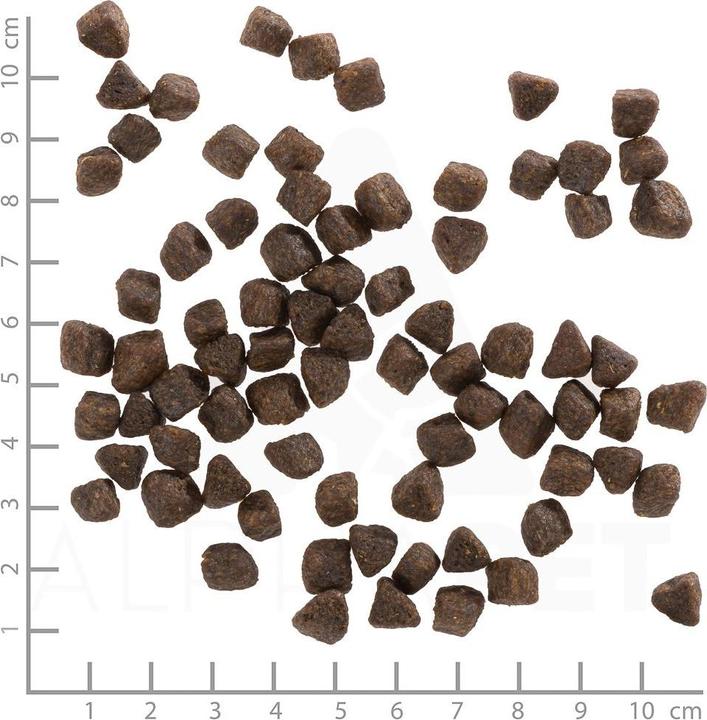 Immagine prodotto Wolfsblut Cucciolo di fiume freddo (Junior, 1 pz., 2000 g)