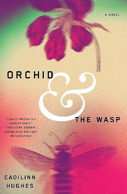 Produktbild Orchid and the Wasp (Englisch, Caoilinn Hughes, 2018)
