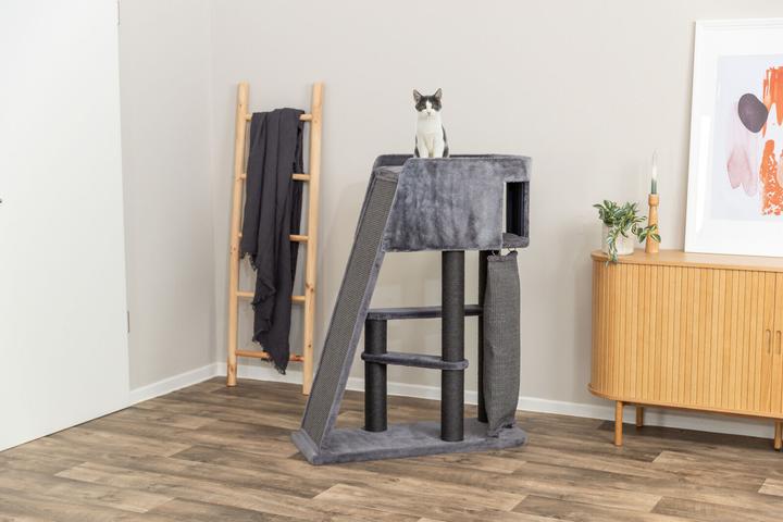Produktbild Trixie Cat tree Active, grey with climbing ramp, 122 cm (122 cm, Grey)