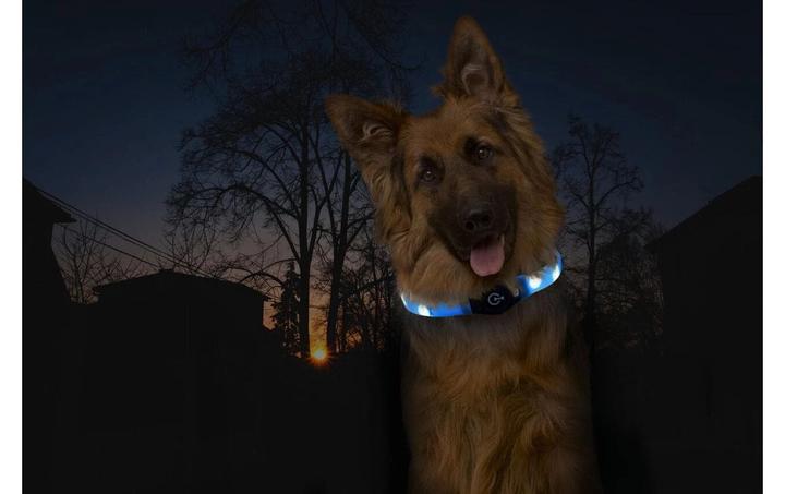 Actual product image Karlie Visio (Dog, Walks)