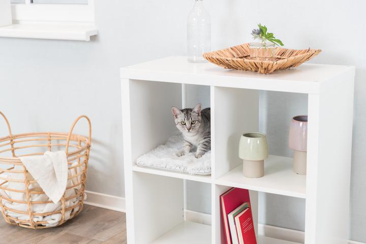 Image du produit Trixie Étagères pour couchage Harvey, Soft Edition, 33 x 38 cm (Chat)