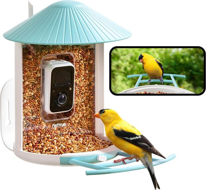 Actual product image Birdfy Bird feeder with solar panel