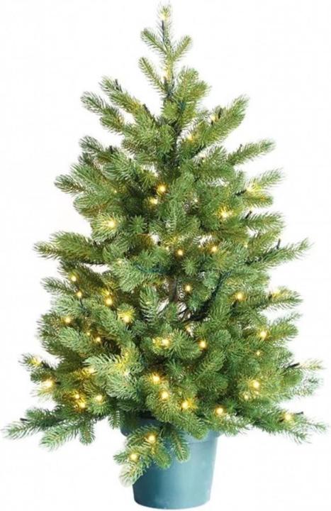 Produktbild Botanic-Haus De Luxe (90 cm)