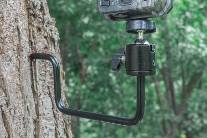 Actual product image Braun Photo BRAUN Tree Screw for Game Cameras 1/4"