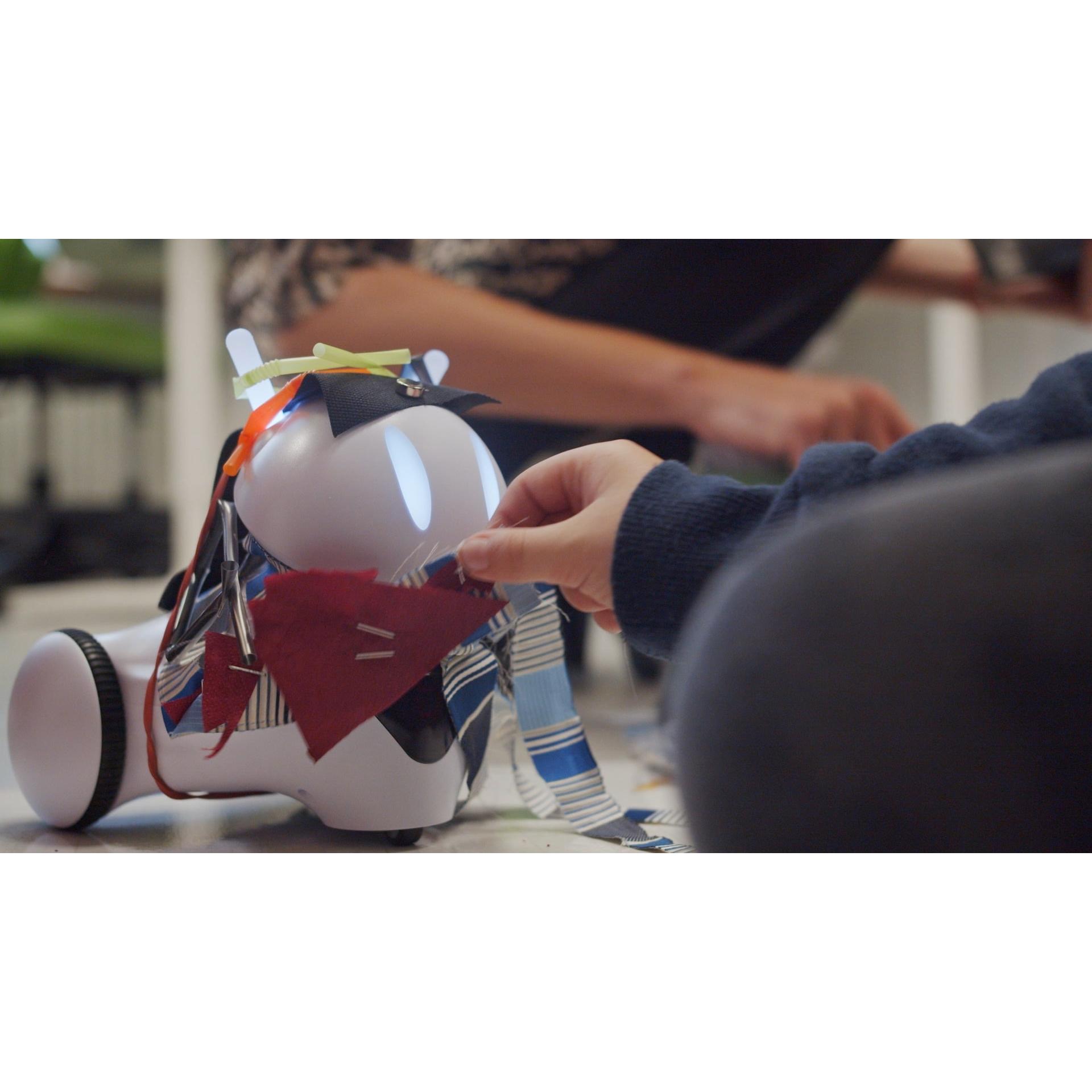 Photon Istruzione MINT pacchetto completo "Ambiente ed Energie Rinnovabili" con 2 robot di, Kit robotica