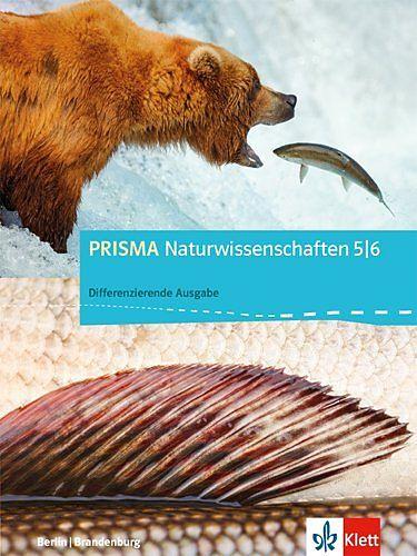 Produktbild Prisma Physik. Schülerbuch 7./8. Schuljahr. Differenzierende Ausgabe Berlin, Brandenburg ab 2016 (Deutsch, 2017)
