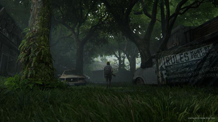 Produktbild Sony The Last of Us Part II (2) (PS4, EN)