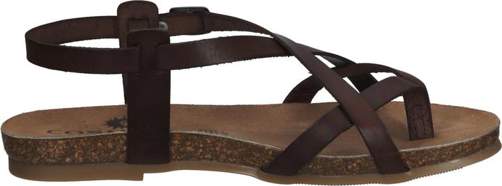 Image du produit Cosmos Comfort Tige d'orteil (36)
