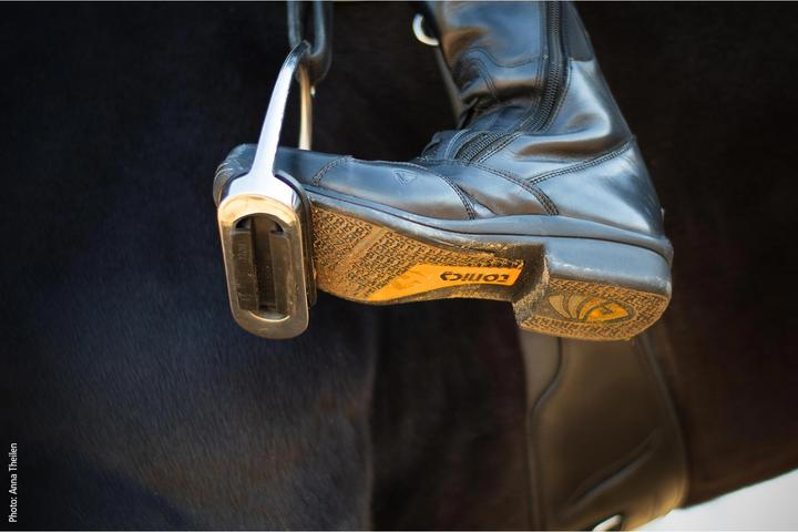 Produktbild Schockemöhle Sports Reitstiefel Jupiter Tonics Damen (38)