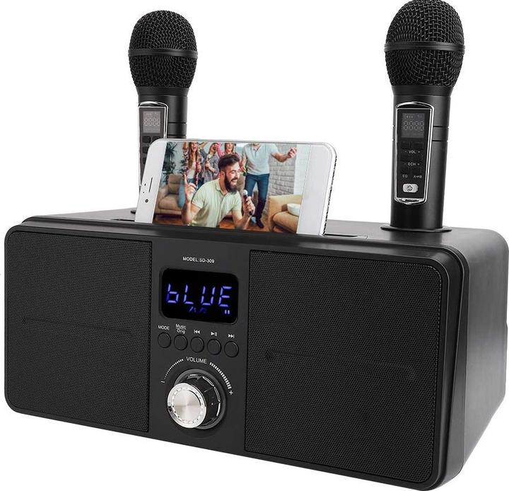 Actual product image Bewinner1 Karaoke Speaker, Black