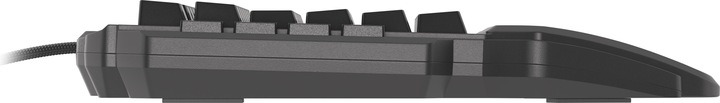Produktbild Genesis Thor 100 RGB Tastatur USB QWERTY Englisch (US, Kabelgebunden)