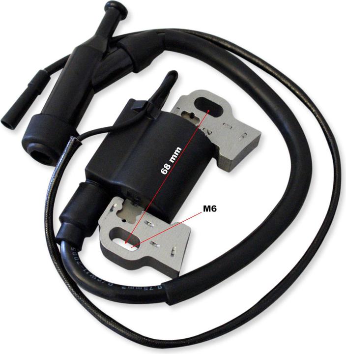 Actual product image Wiltec Spare Part Petrol Gasoline Engine Ignition Coil for 6.5hp – 198ccm
