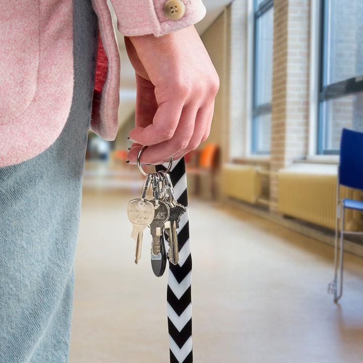 Actual product image Nite Ize KeyRing Microlink Schlüsselanhänger