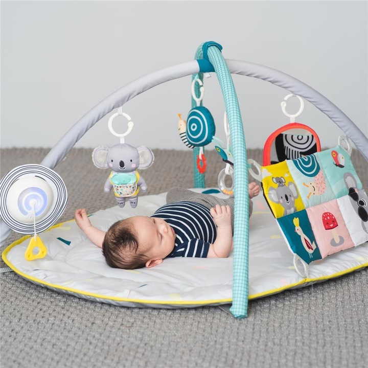 Actual product image Taf Toys All Around Me