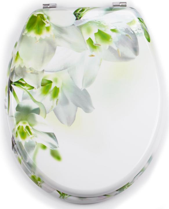 Actual product image MSV Lounge