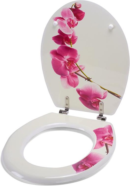 Actual product image MSV Lanyu
