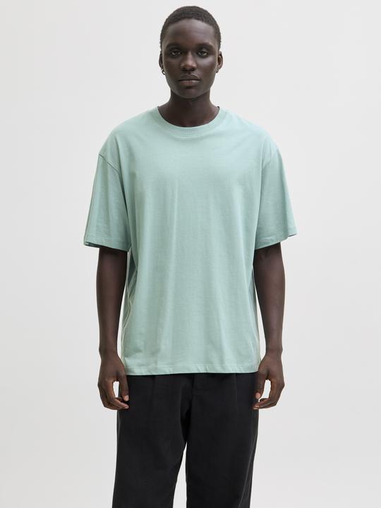 Actual product image Jack & Jones Jjebradley Tee Ss O-Neck Noos (XL)