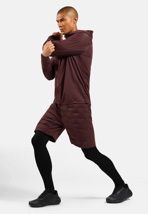 Image du produit Odlo X-Alp Performance (L)