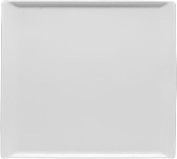 Rosenthal Mesh