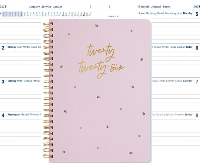 Image du produit Letts Agenda Celebrate (A5)