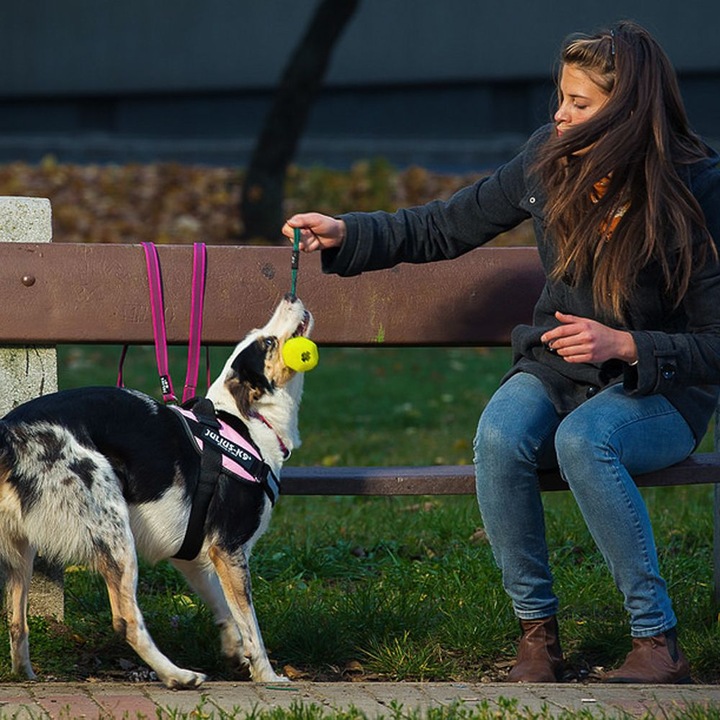 Produktbild Julius-K9 IDC®-Powergeschirr Grösse: Brustumfang (0, Hund, Allgemein)