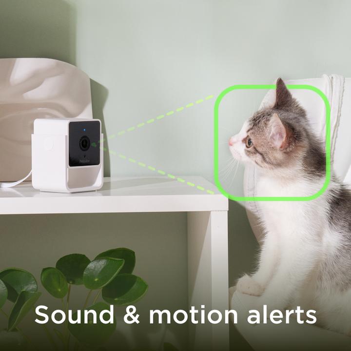Immagine prodotto Petcube Telecamera per animali domestici (Catmint giocattolo)