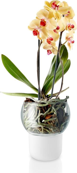 Produktbild Eva Solo Orchideentopf (15 x 17 cm)