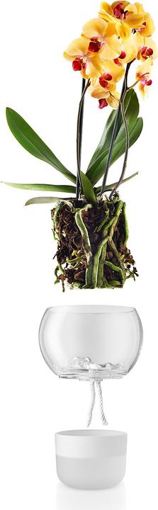 Produktbild Eva Solo Orchideentopf (15 x 17 cm)