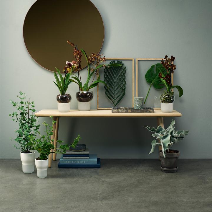 Produktbild Eva Solo Orchideentopf (15 x 17 cm)