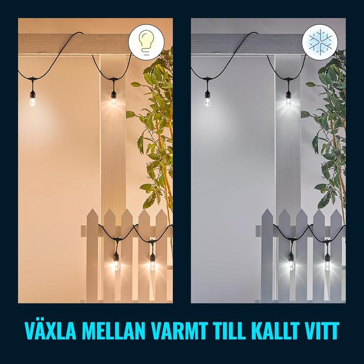 Actual product image WiZ String Lights (0.15 m)