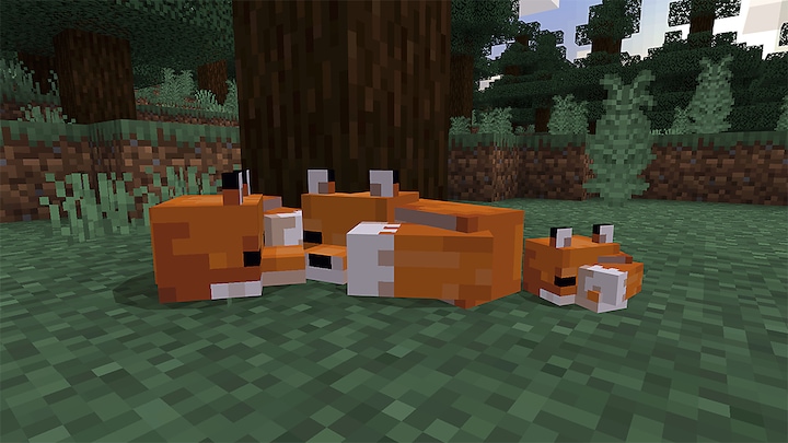 Produktbild Sony Minecraft: Starter Collection (PS4, Multilingual)