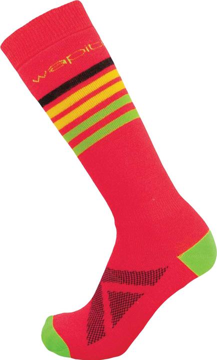 Actual product image Wapiti Ski Kids WK04 Merino (35 - 38)