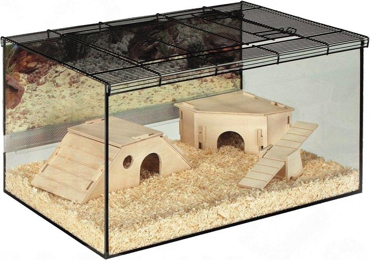 Actual product image Skyline Nagarium Kerry
