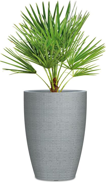 Produktbild Scheurich Barceo High (29 x 40 cm)