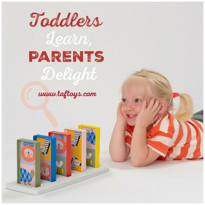 Image du produit Taf Toys Mon premier jeu domino