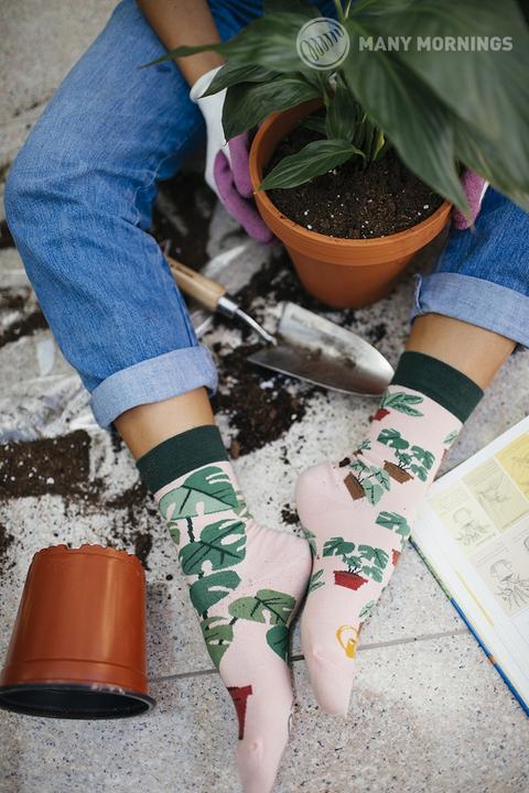 Immagine prodotto Many Mornings Amante delle piante (Confezione singola, 39 - 42)