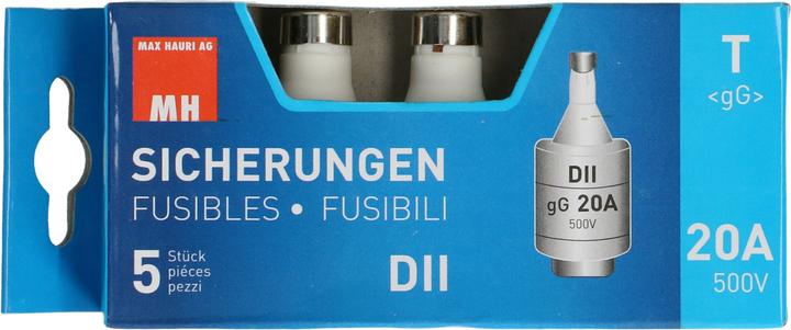 Max Hauri Fuse 20A slow-blow 500V DT-II 5pcs. (20 A)