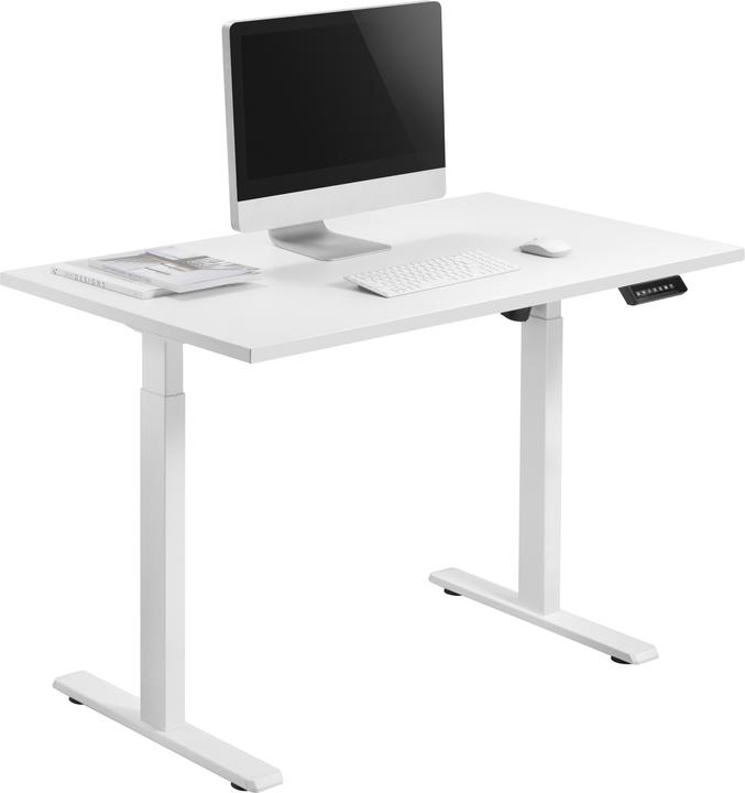 Actual product image Ergowork Compact Electric Desk Frame, white