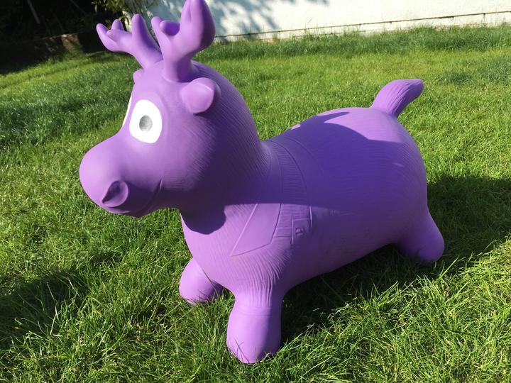 Produktbild Happy Hopperz Moose